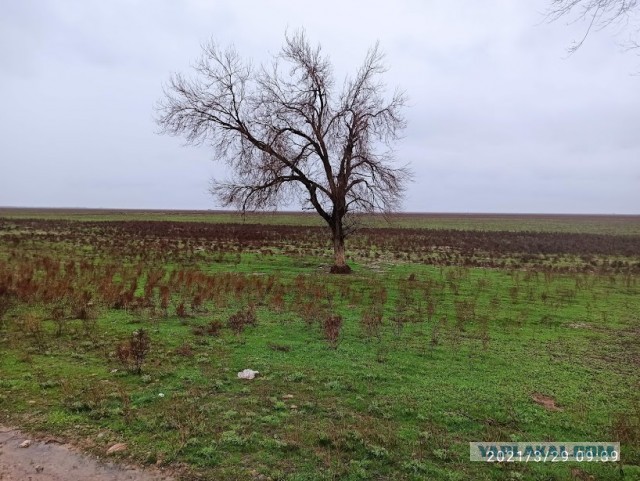 Внутренний туризм по-казахстански. Март 2021