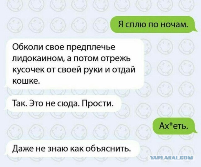 Заклеймили