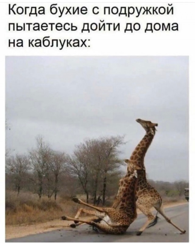 Так себе картинки 01.10.21