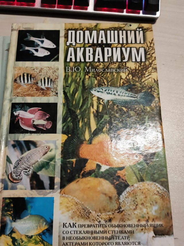 Расскажу, как я вновь заболел аквариумом
