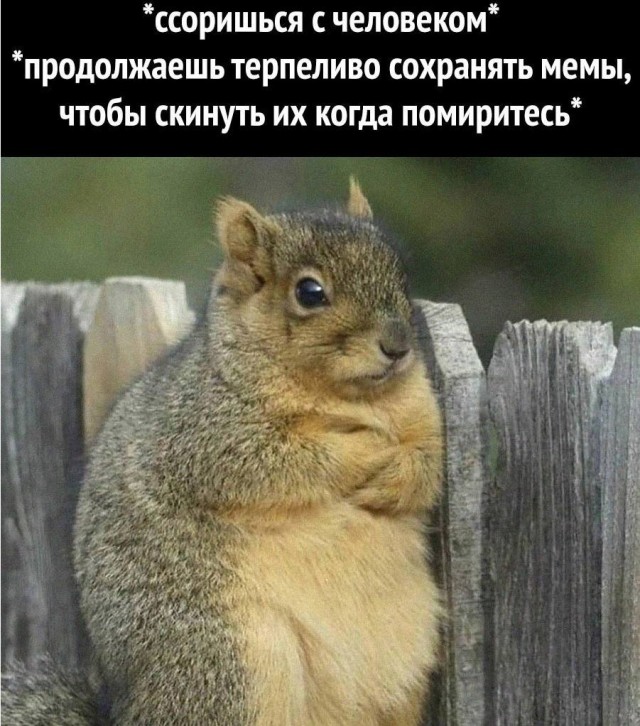 Всяческие картинки 02.02.2022