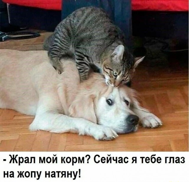 Улыбнись, не грусти!
