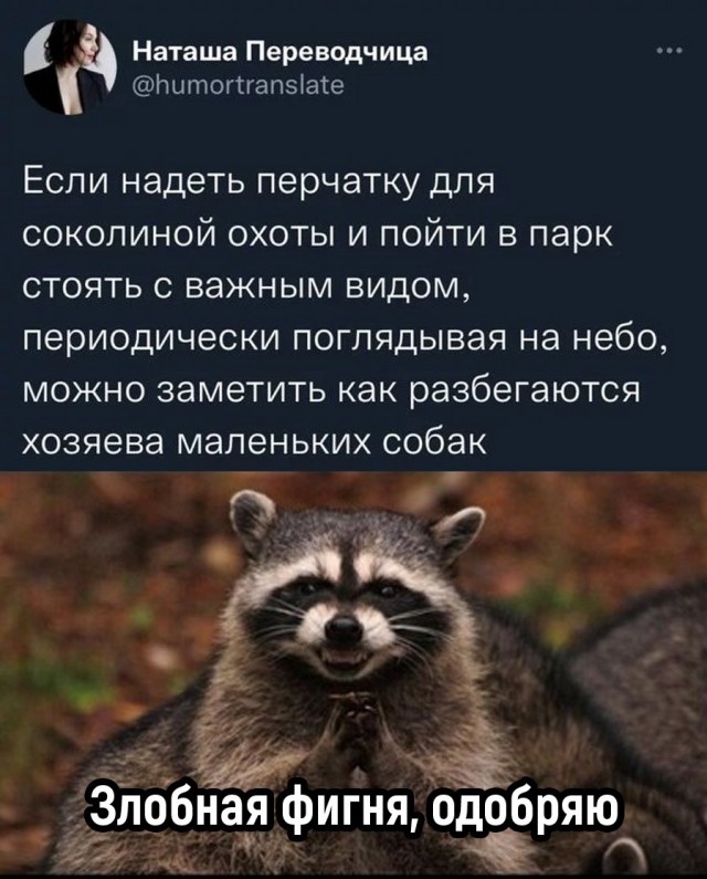 Подборка картинок из загруженного в сети
