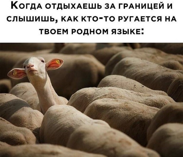 Картинки с надписями и всякие жизненные фразы