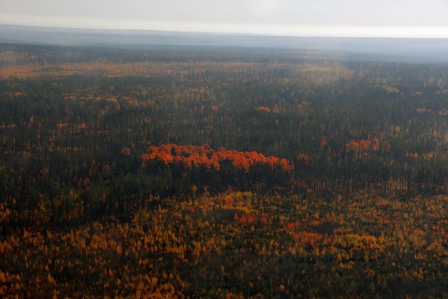 Красноярская тайга
