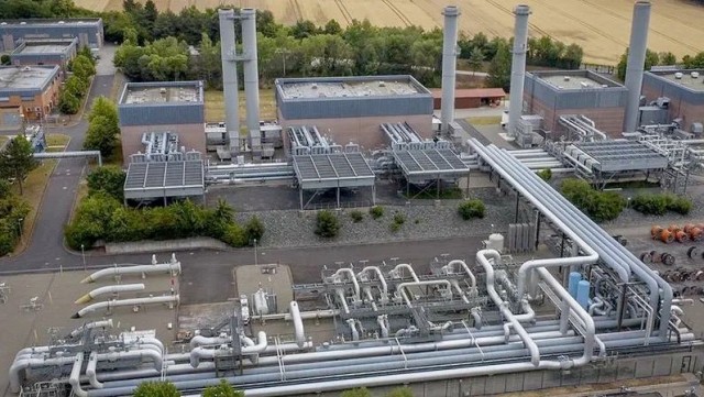 Пандемия съехавших крыш - разновидности болезни. Россия и мир. Часть 41.