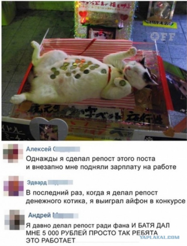 Извините. Деньги очень нужны