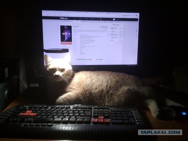 Поймал момент!