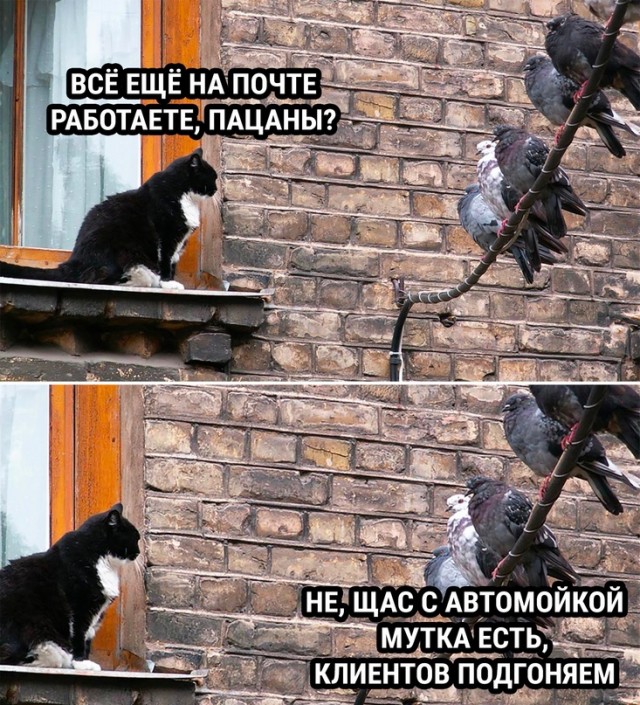 Пятничная скупка краденого из сети 11.08.2023