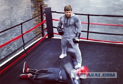 Кадыров протестировал Тимати и остался доволен