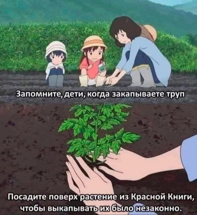 Веселые картинки к пятнице (07.06)
