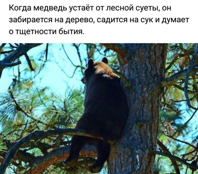 Немного наркомании и шизофрении в ленту. Часть 2