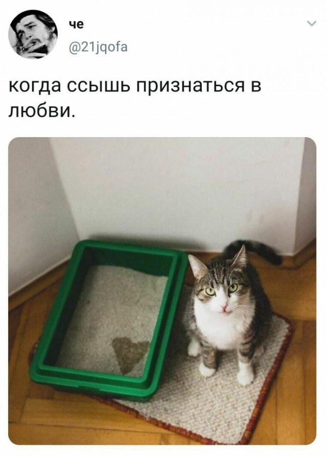Никакие картинки и тексты