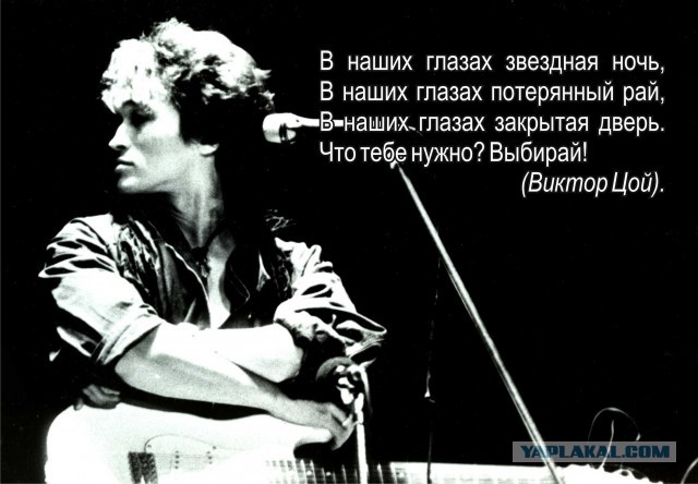 Фото с выставки в Питере на Малой Садовой