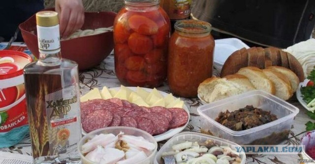 Золото скуфов