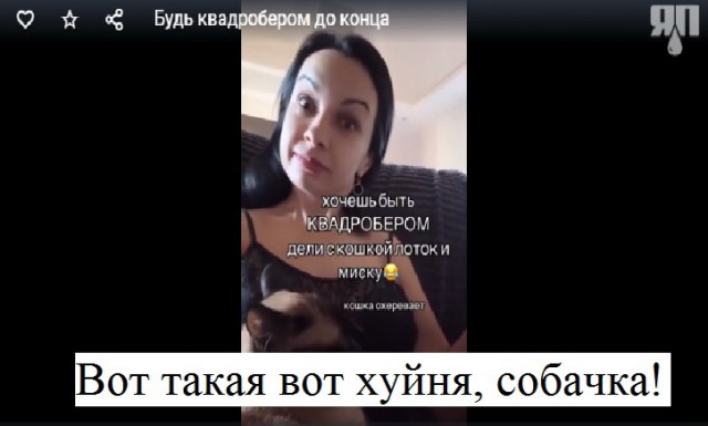 Будь квадробером до конца
