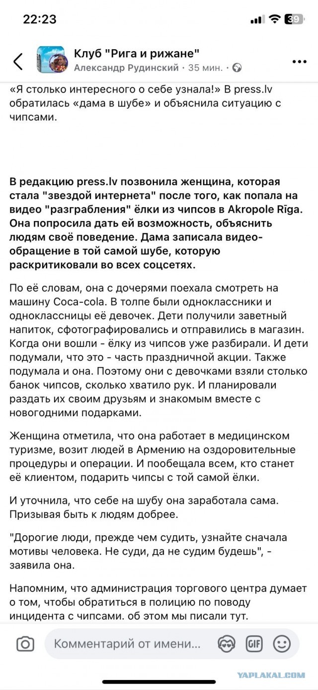 Посетители ТЦ в Риге разграбили ёлку из чипсов Pringles