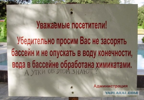 А утки в курсе?!