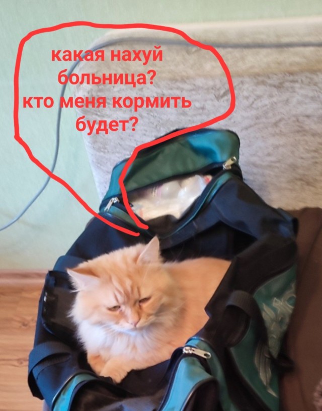 Собираюсь в больницу ехать.