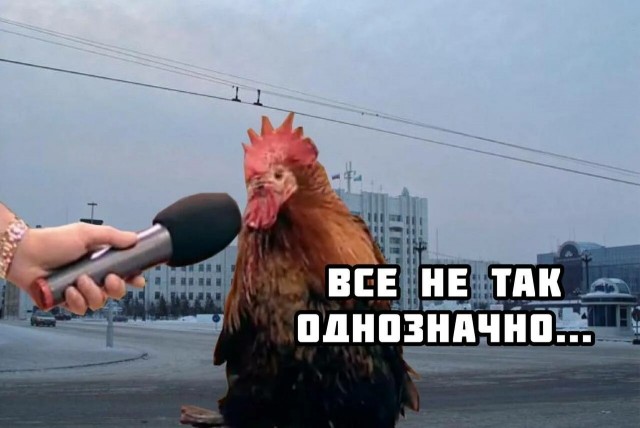 "Бывшую жену по известному адресу": как меня развели на жалость, и я повёлся
