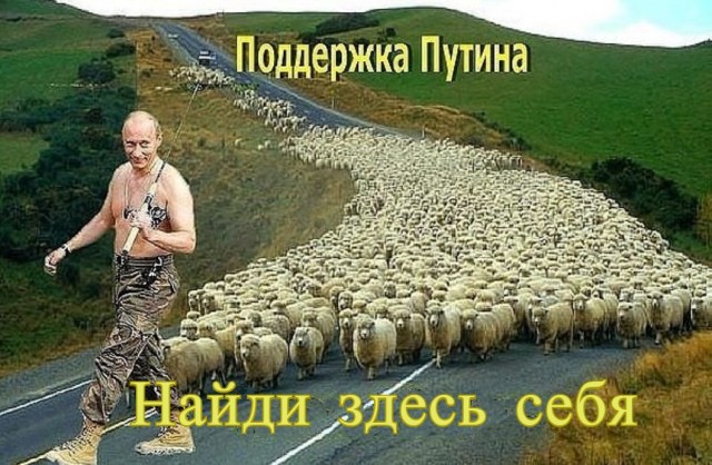 ВЦИОМ врать не будет