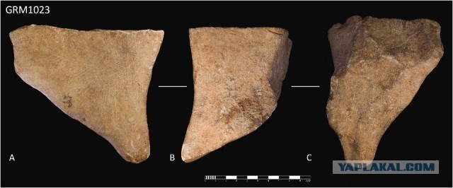 На гравировке из Италии опознали последнего пещерного льва Европы