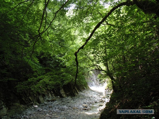 Отпуск в Сочи