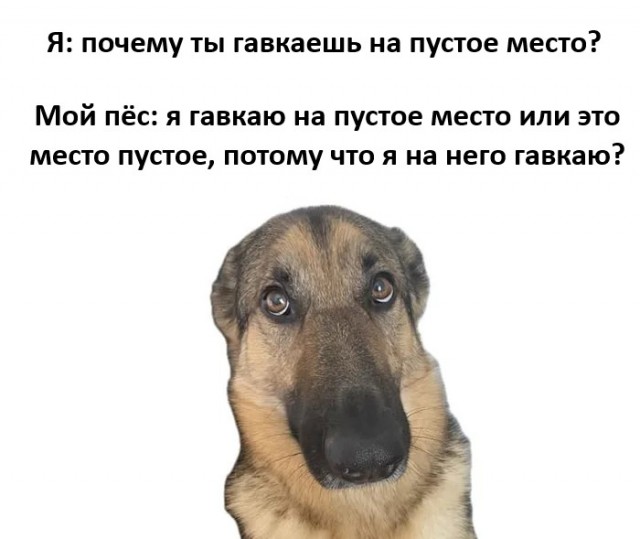Веселое настроение в картинках