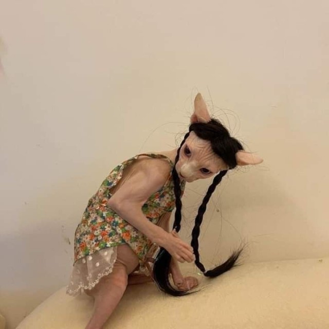 Техас готов к Хэллоуину