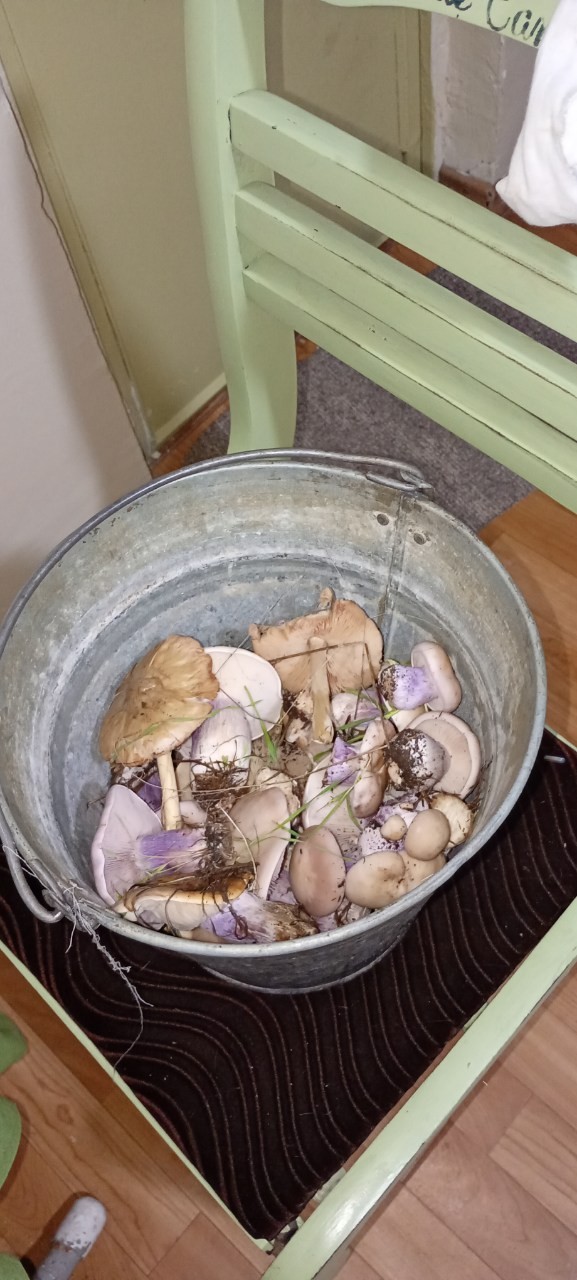 Пашкетт, помоги.