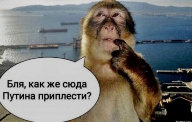 Они хотят конца света. И это не метафора