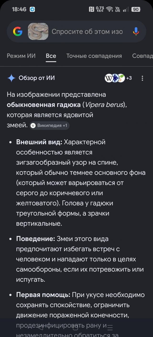 Гадючка