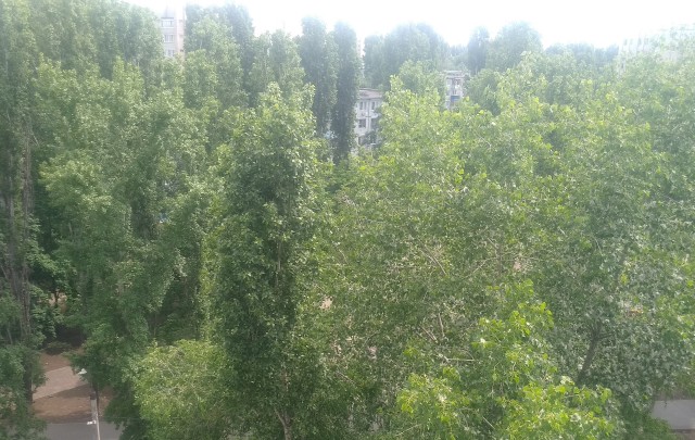 Шляюсь по Москве (Белорусская - Деловой центр).
