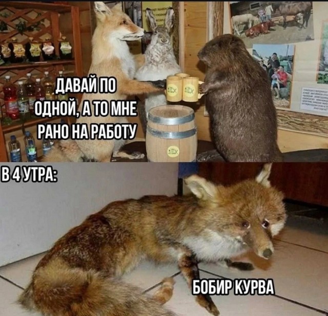 Эбокартинки с эбонадписями