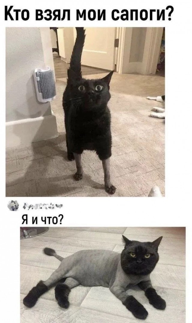 Так себе картинки 18.07.26