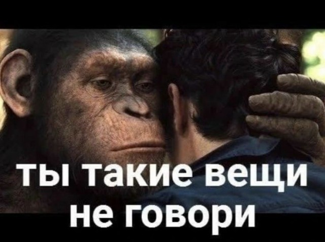 Что главнее - QR-код или паспорт?