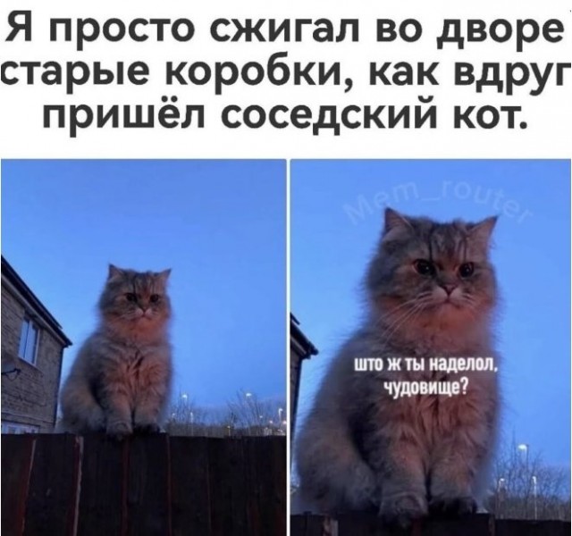 Картинки для деградации 265 (разной степени свежести)