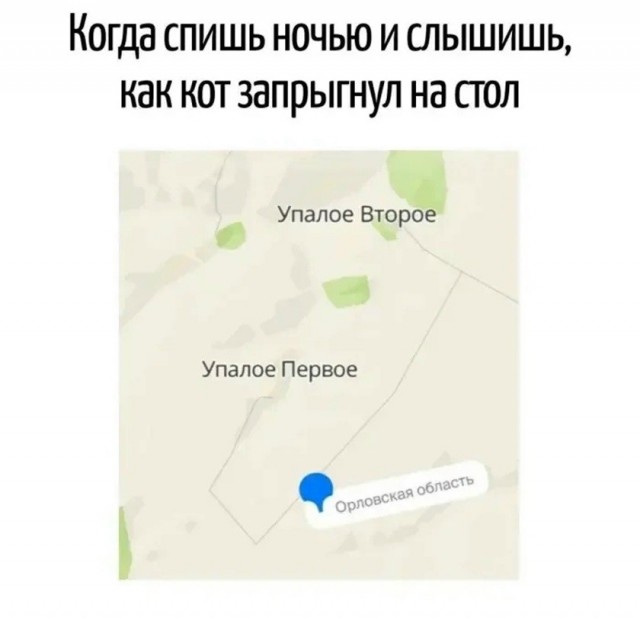 Так себе картинки 07.09.26