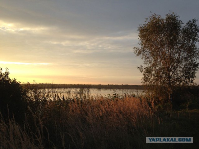Красота природы не зависит от....