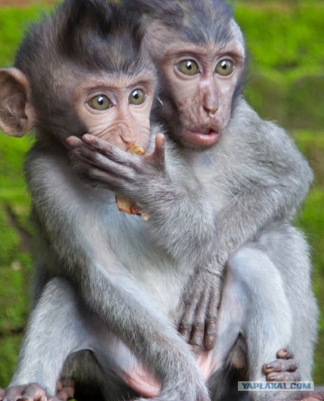 Офигеваю от новостей