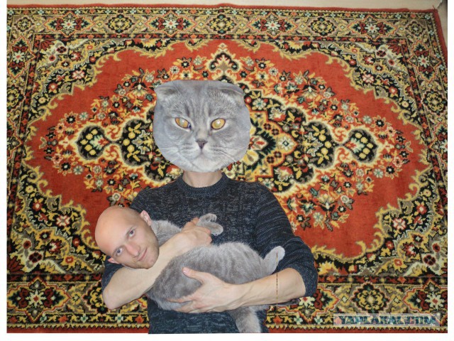 Мастера фотошопа