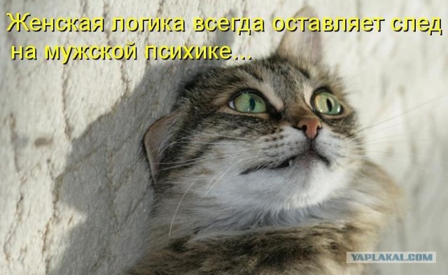 И поделом ей!