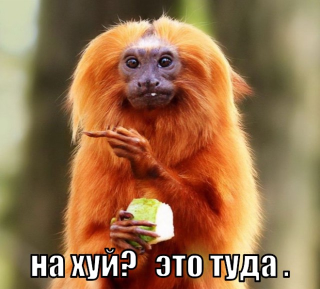 Так плохо, как сейчас, в Украине не было никогда