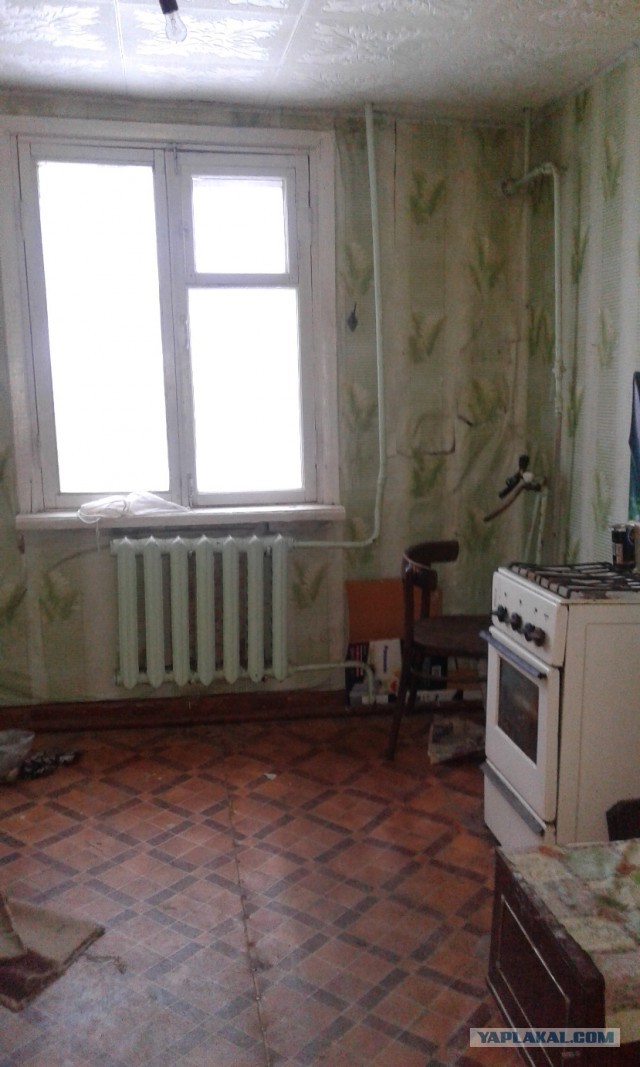 Лёха, вставай!