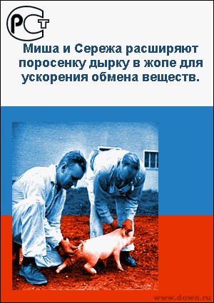 Смешные картинки