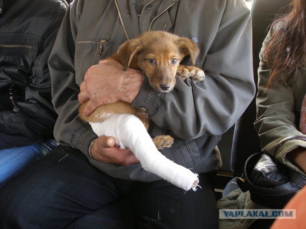 В маршрутке