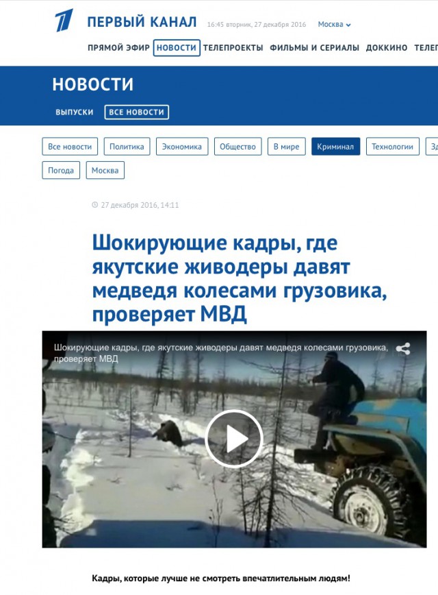 В соцсетях появилось видео жестокого убийства медведя грузовиком "Урал"