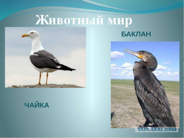 Это правда?