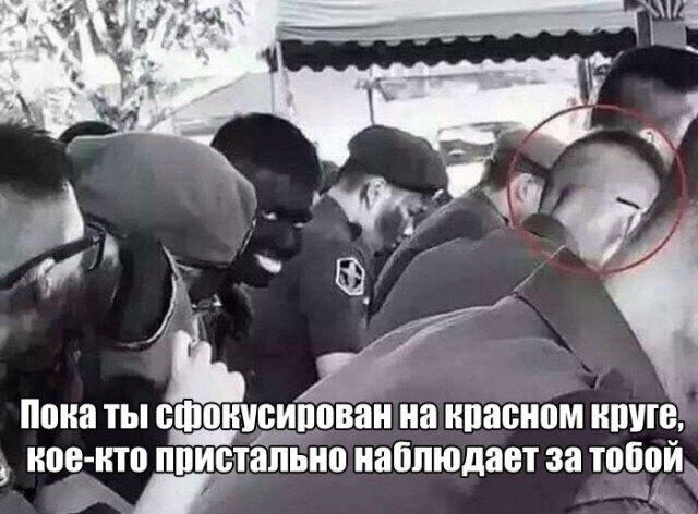 Немного картинок