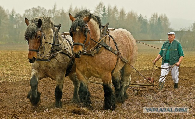 Спорт-инструктор из Майами обещает прокачать за год любую женщину